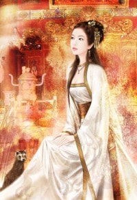 娇妾（穿书）